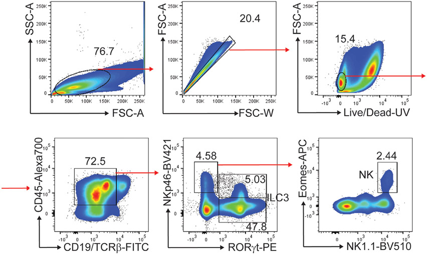 Figure 125.