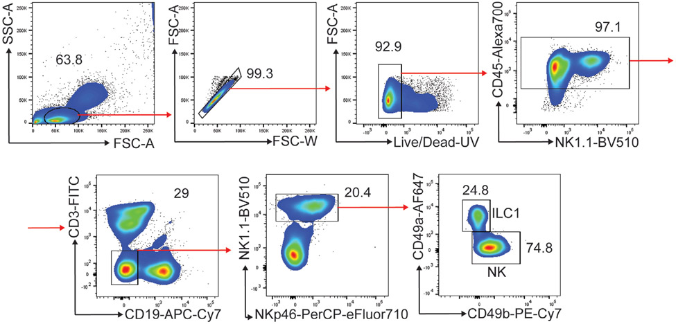 Figure 124.