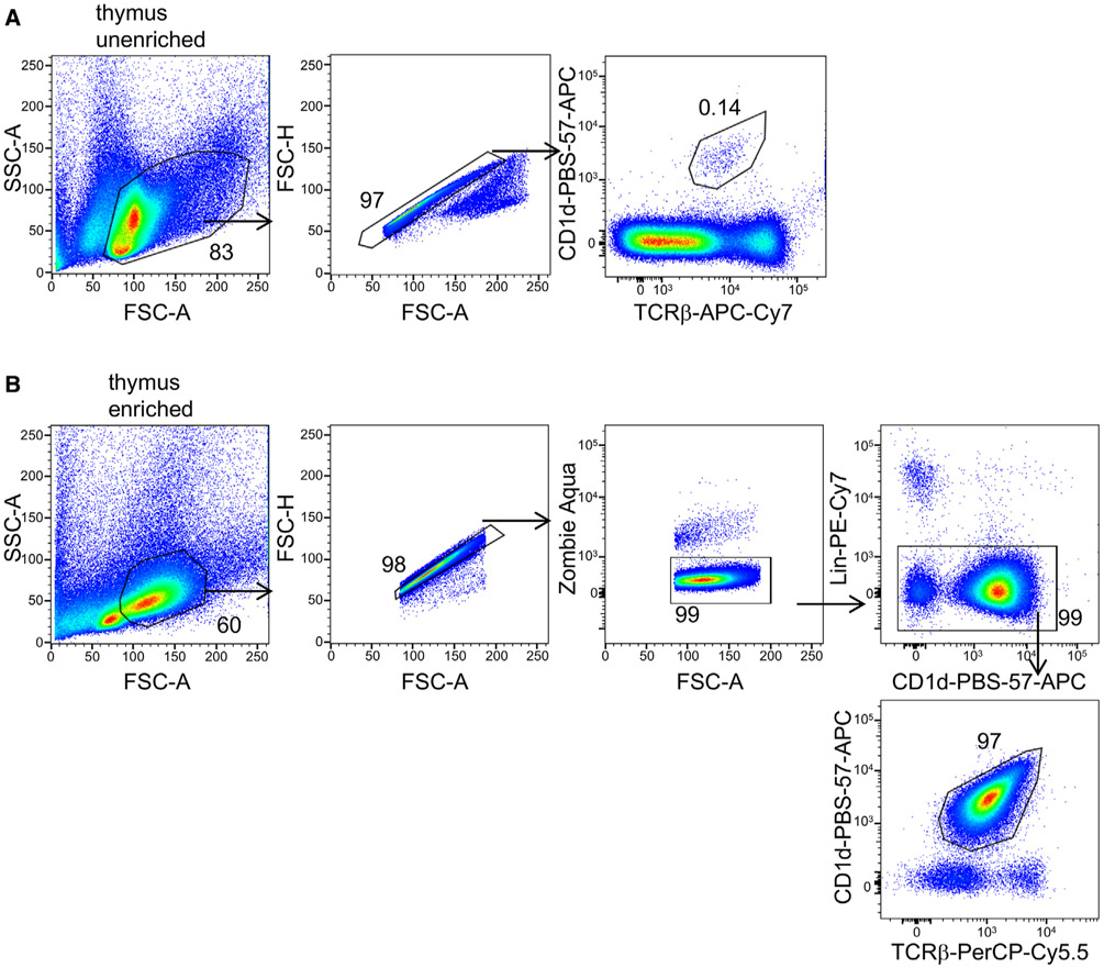 Figure 63.