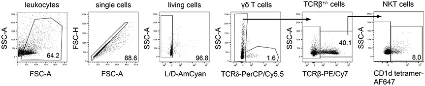 Figure 151.