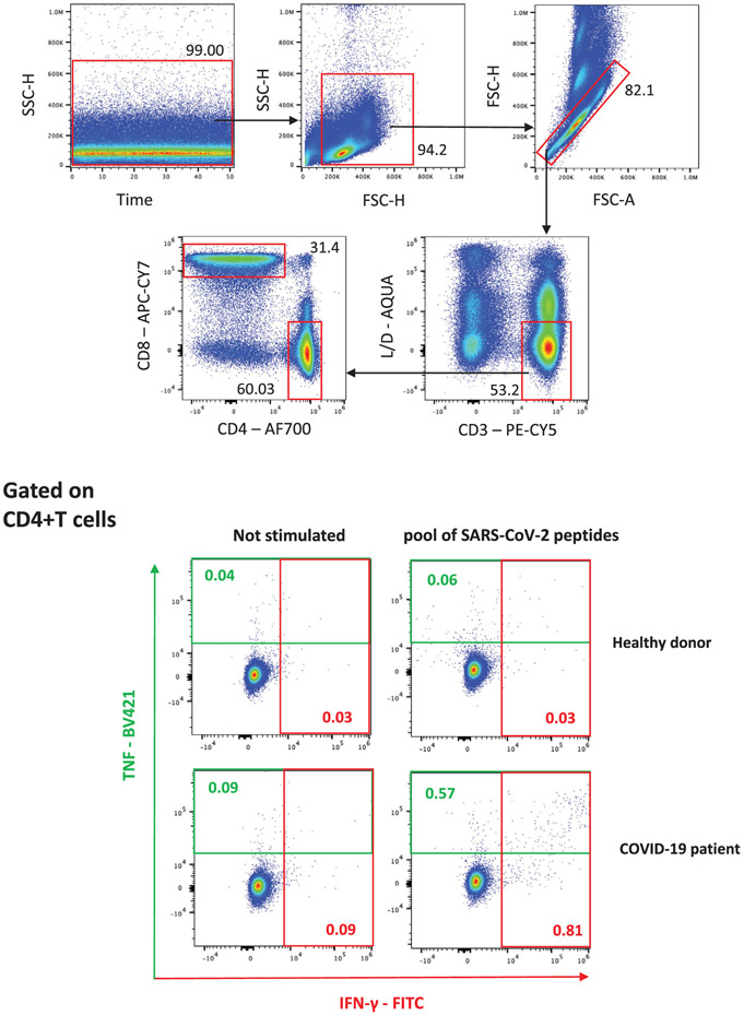 Figure 6.