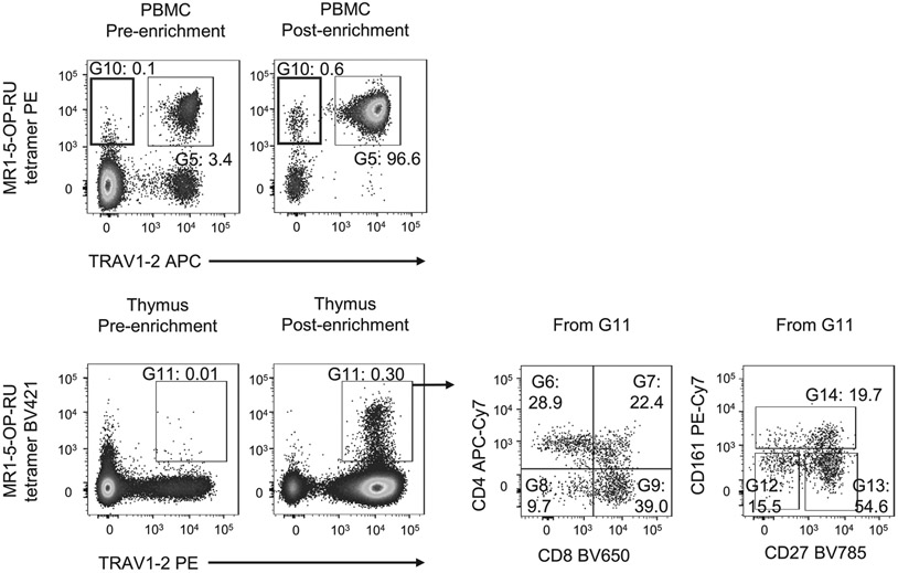 Figure 69.