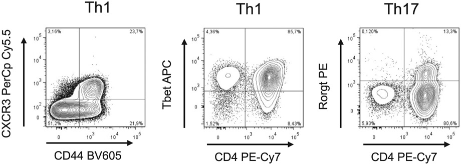 Figure 14.