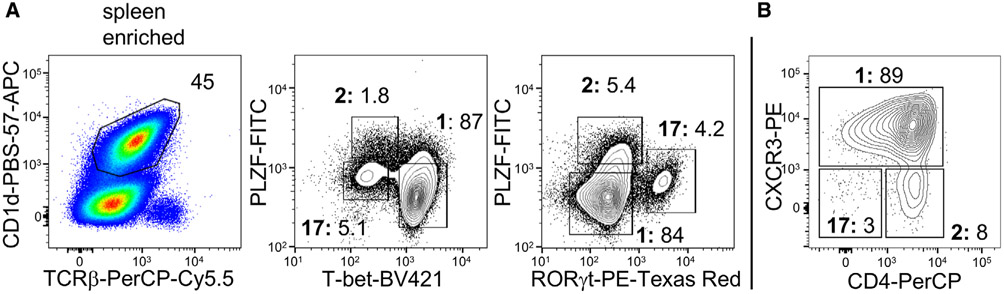 Figure 65.