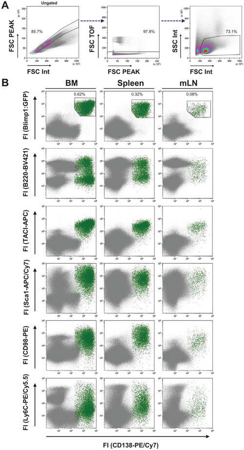 Figure 115.