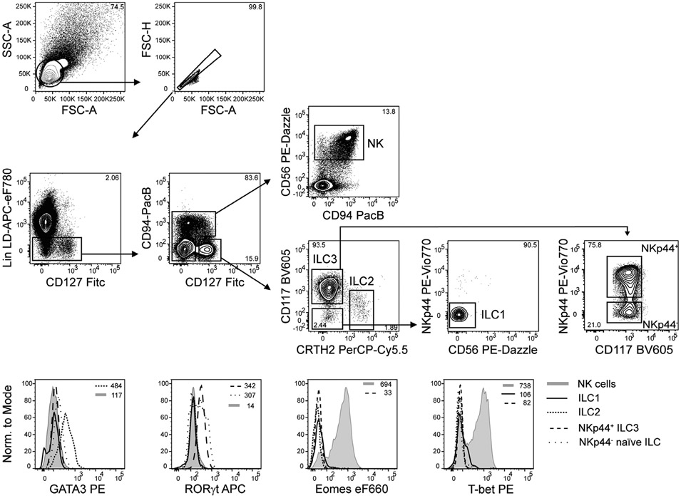 Figure 120.