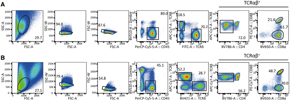 Figure 25.