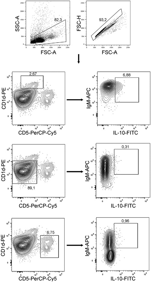 Figure 108.