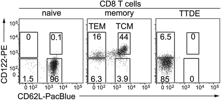 Figure 30.