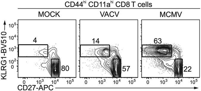 Figure 29.