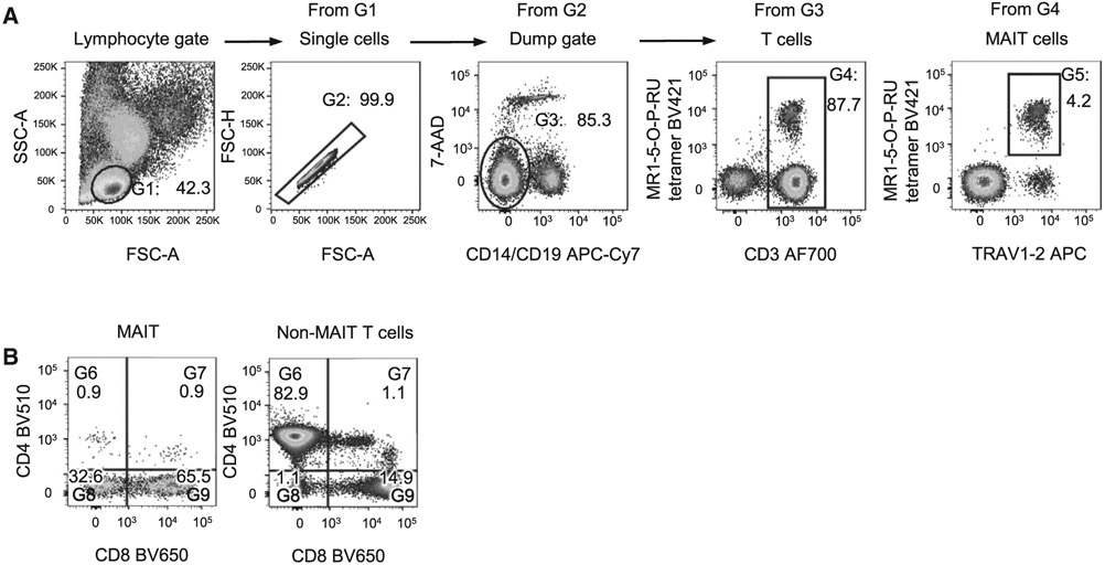 Figure 66.