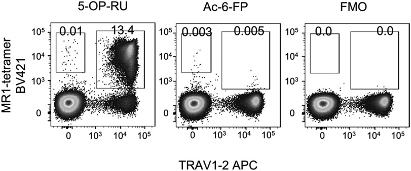 Figure 67.