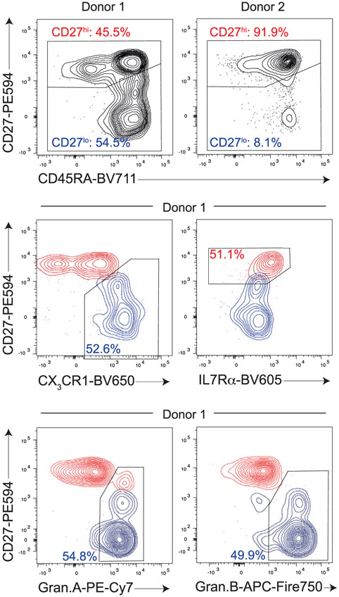 Figure 55.