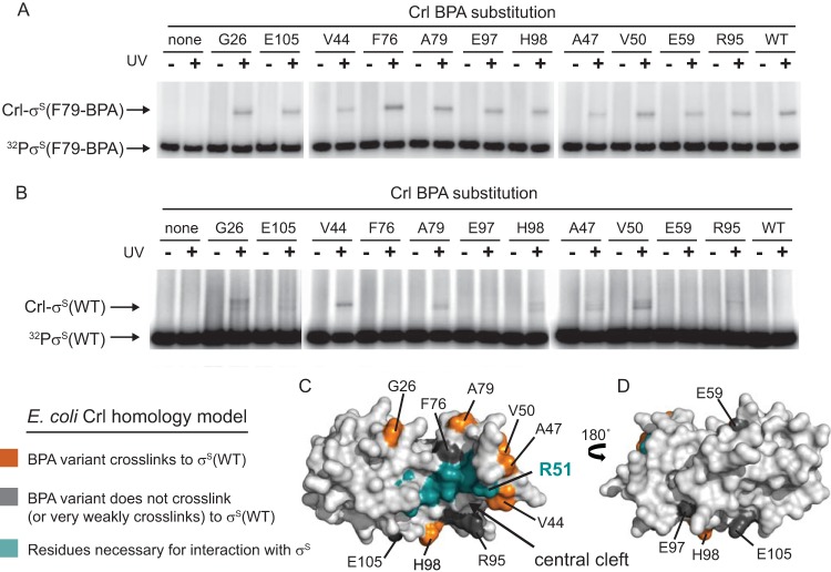 FIG 6