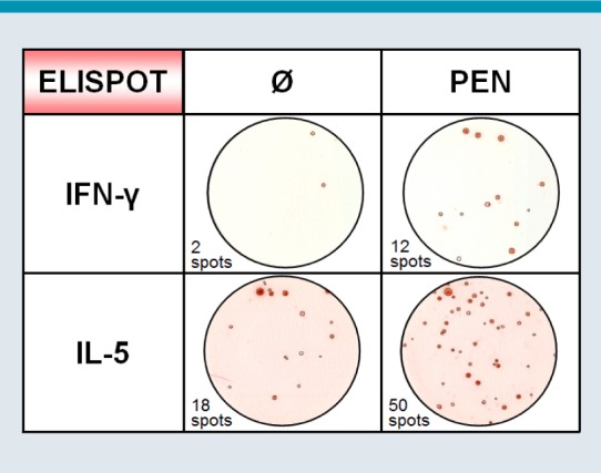 Fig. 4: