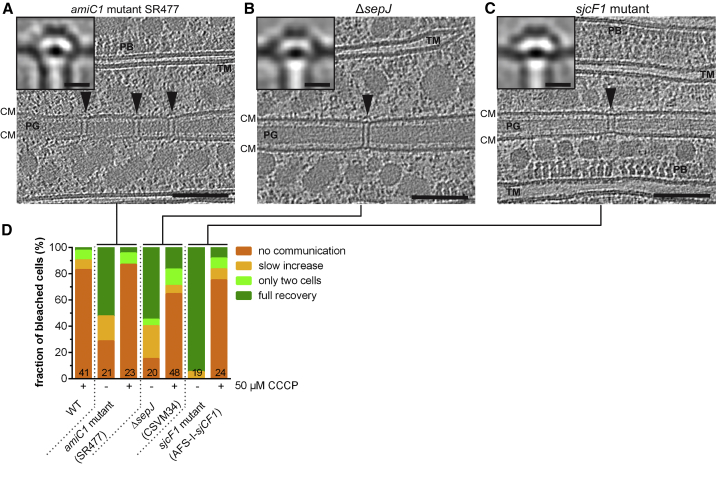 Figure 4