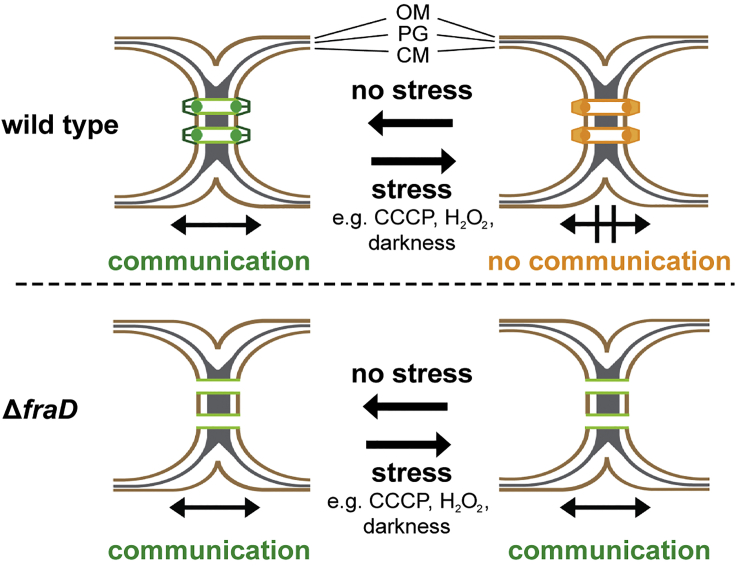 Figure 7