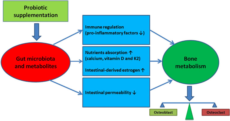 Figure 4