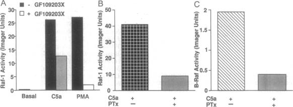 graphic file with name pnas01141-0474-a.jpg