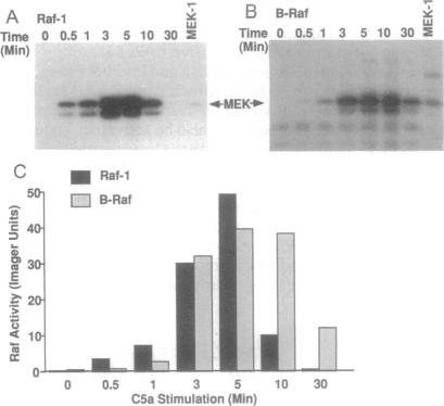 graphic file with name pnas01141-0472-a.jpg