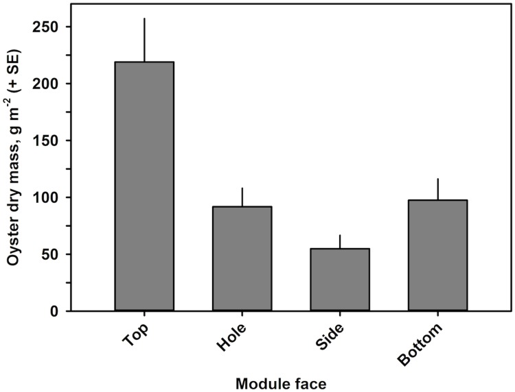 Fig 10