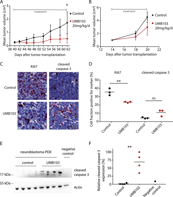 Figure 6