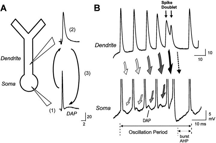 Fig. 2.