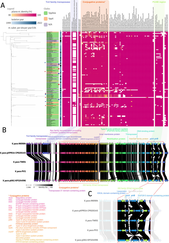 Fig. 1