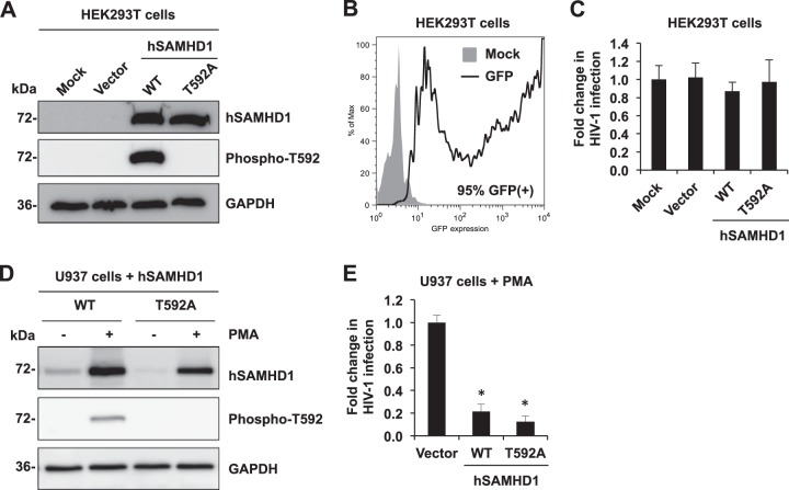 FIG 6