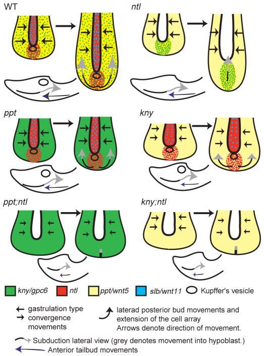 Fig. 9