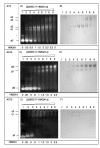 Fig. (3)