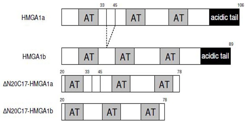 Fig. (1)