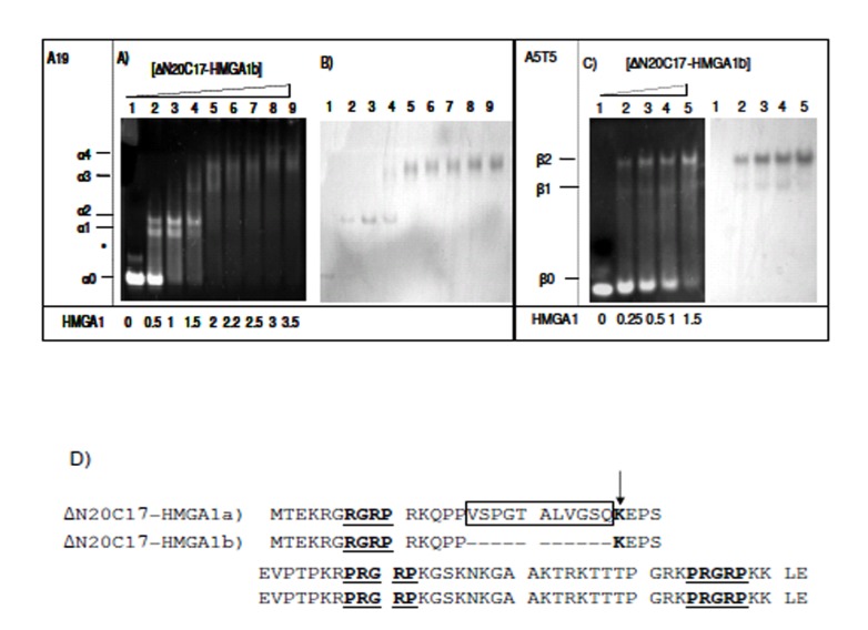 Fig. (4)