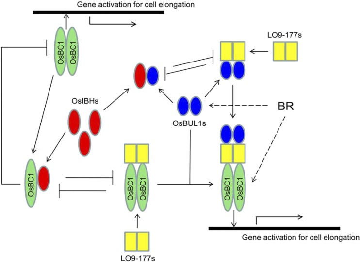 Figure 10.