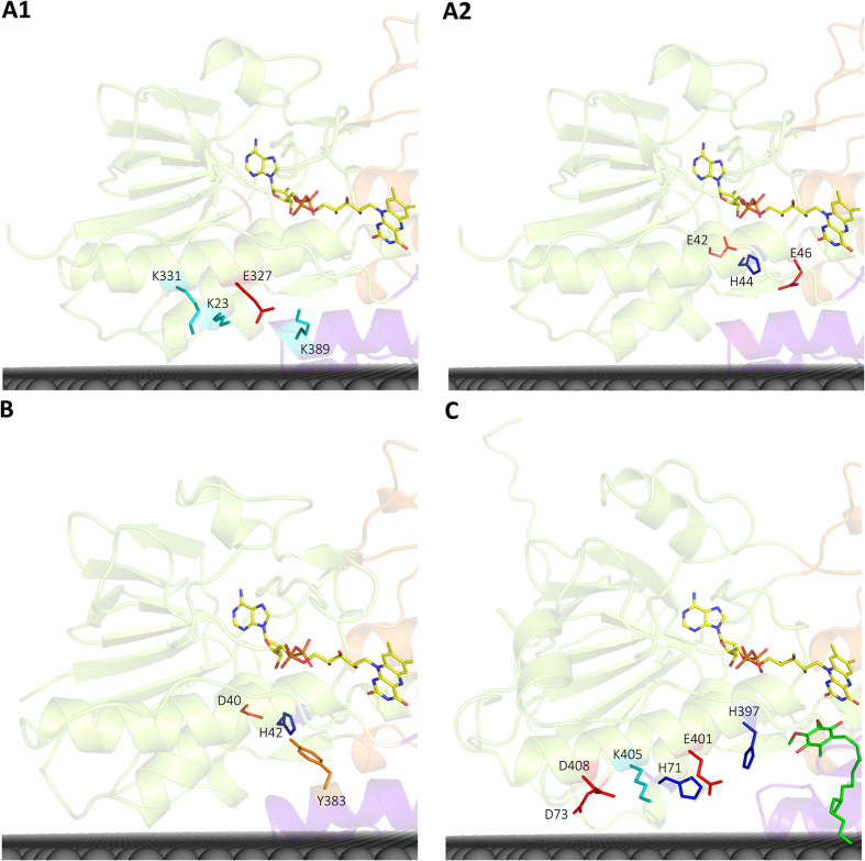 Figure 7