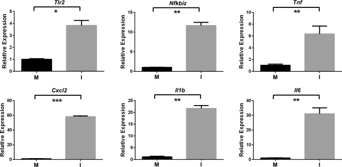 FIG 3 