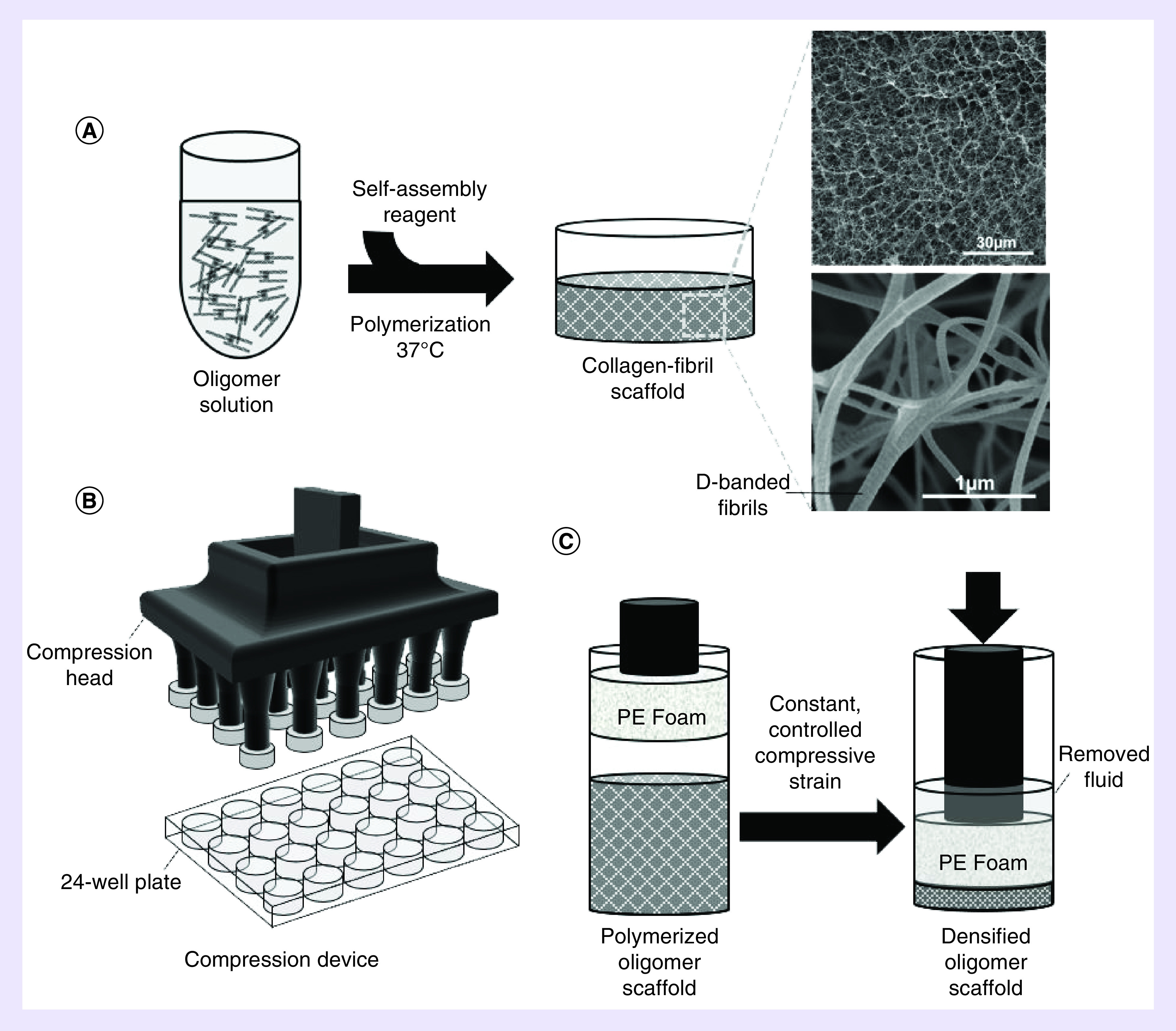 Figure 1. 