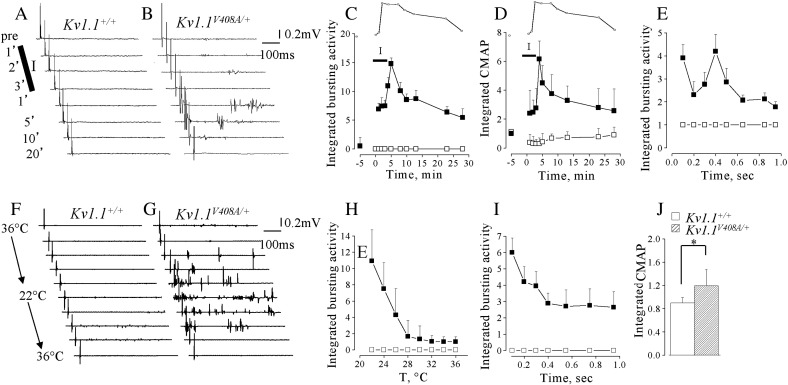 Fig. 6