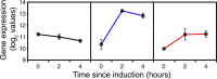 Fig 5