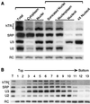 FIG. 6