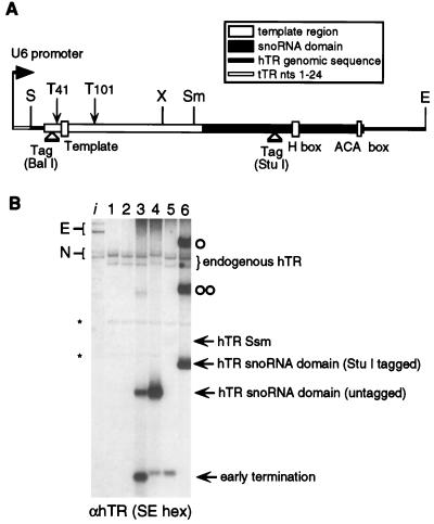 FIG. 5