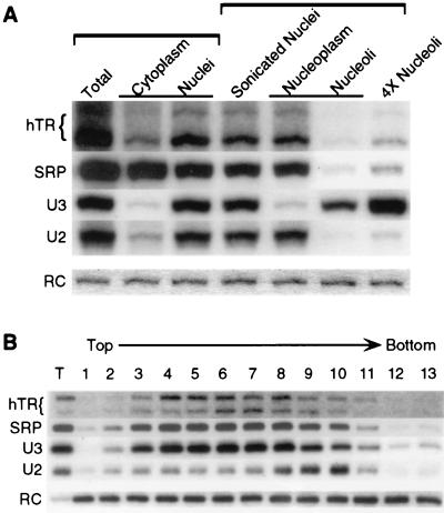 FIG. 6