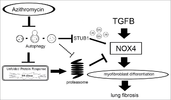 Figure 9.