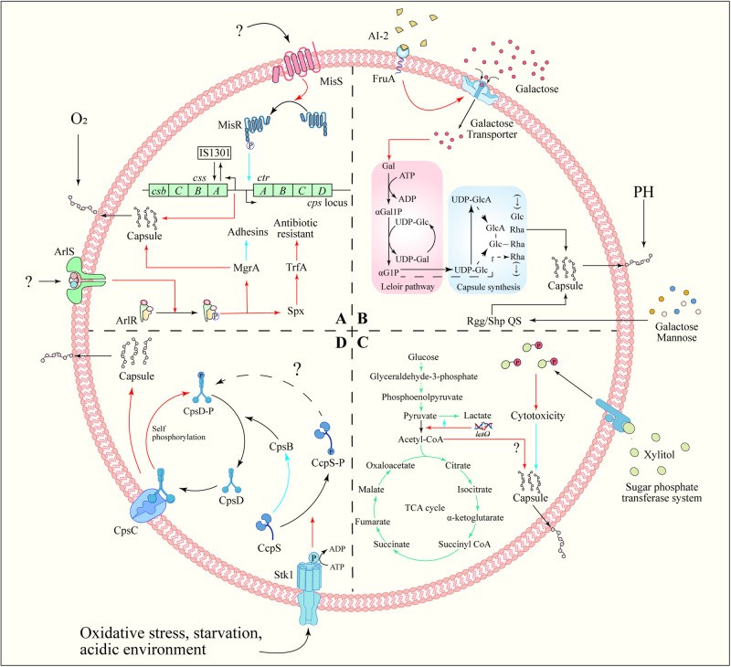 Fig. 4