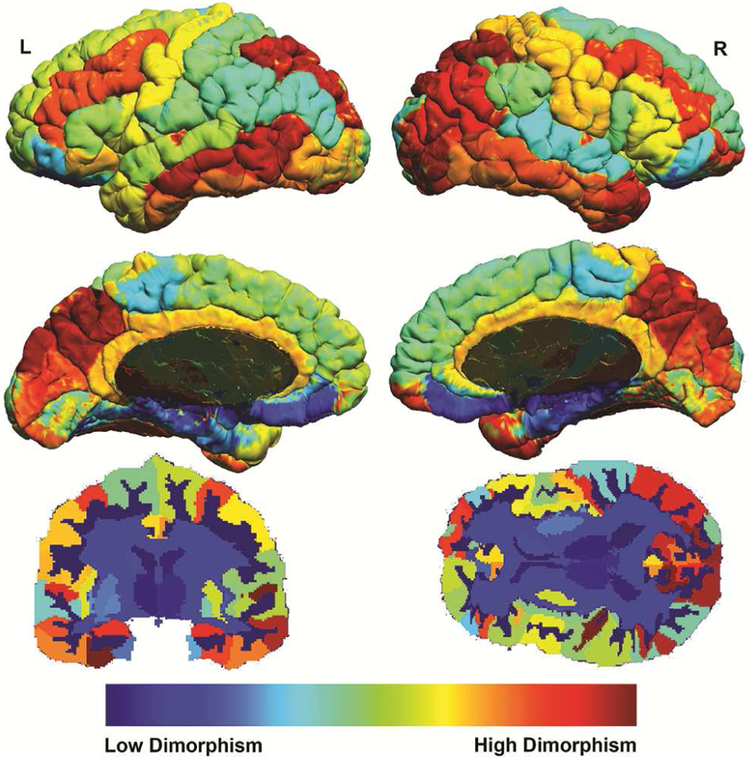 Figure 1: