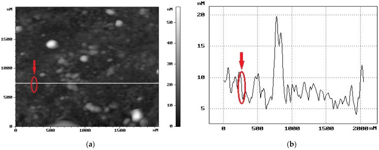 Figure 12