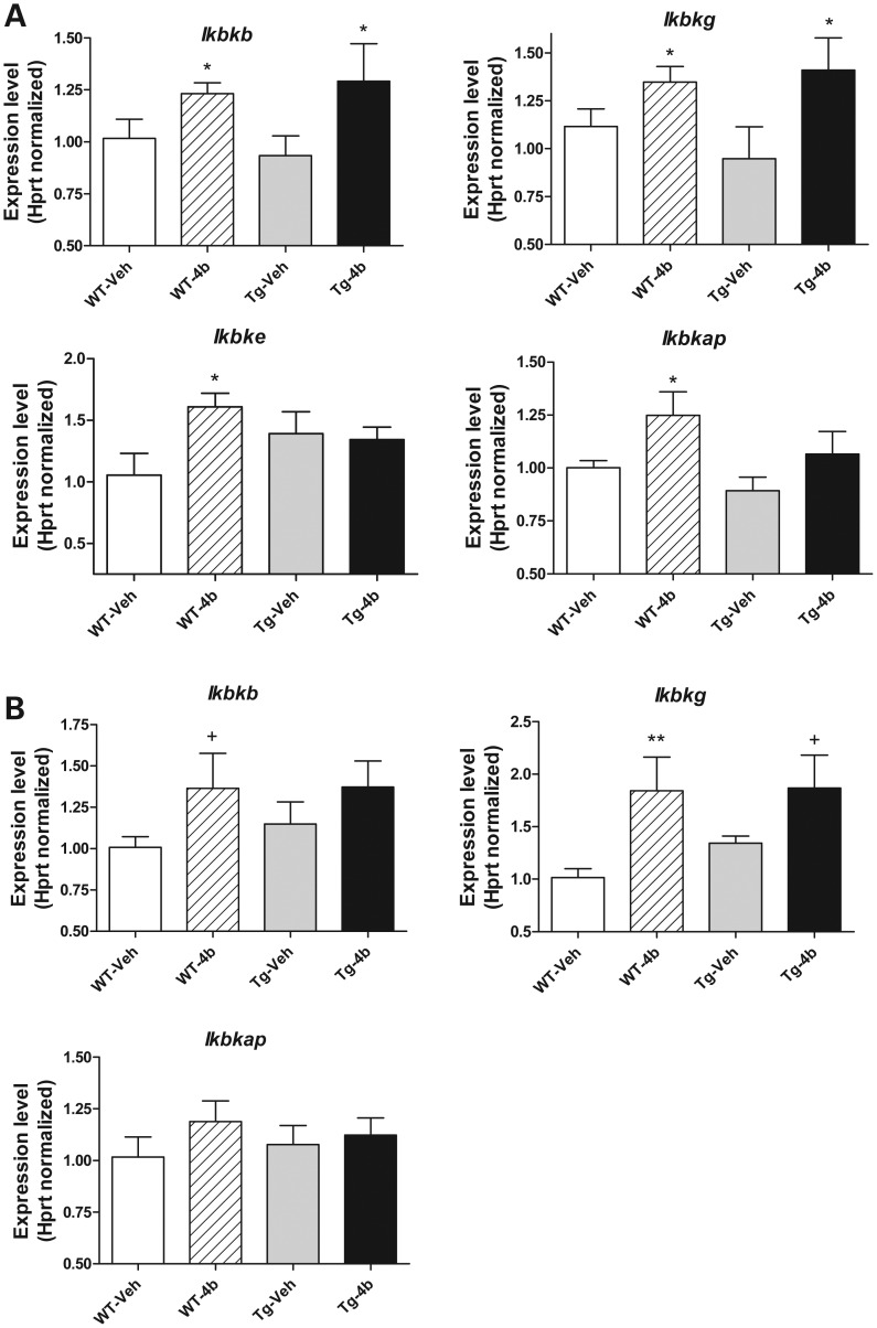 Figure 4.