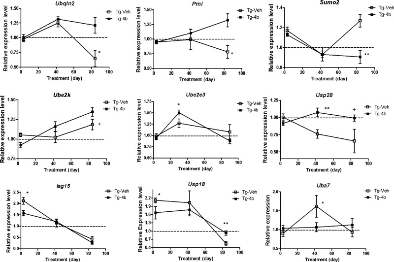 Figure 2.