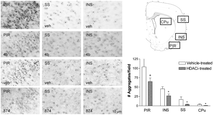 Figure 6.