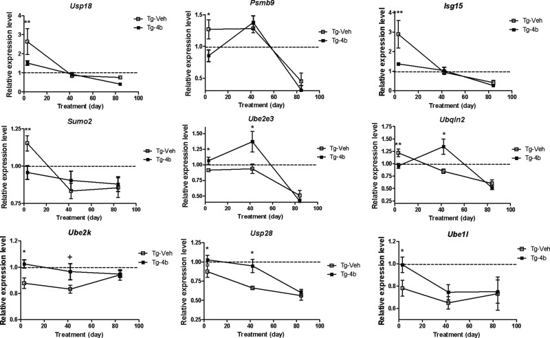 Figure 3.